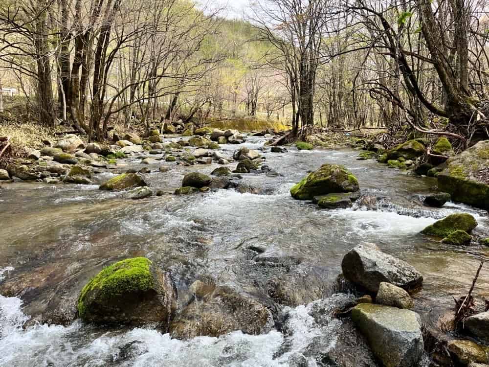 渓流ルアーはハイギアがオススメ！